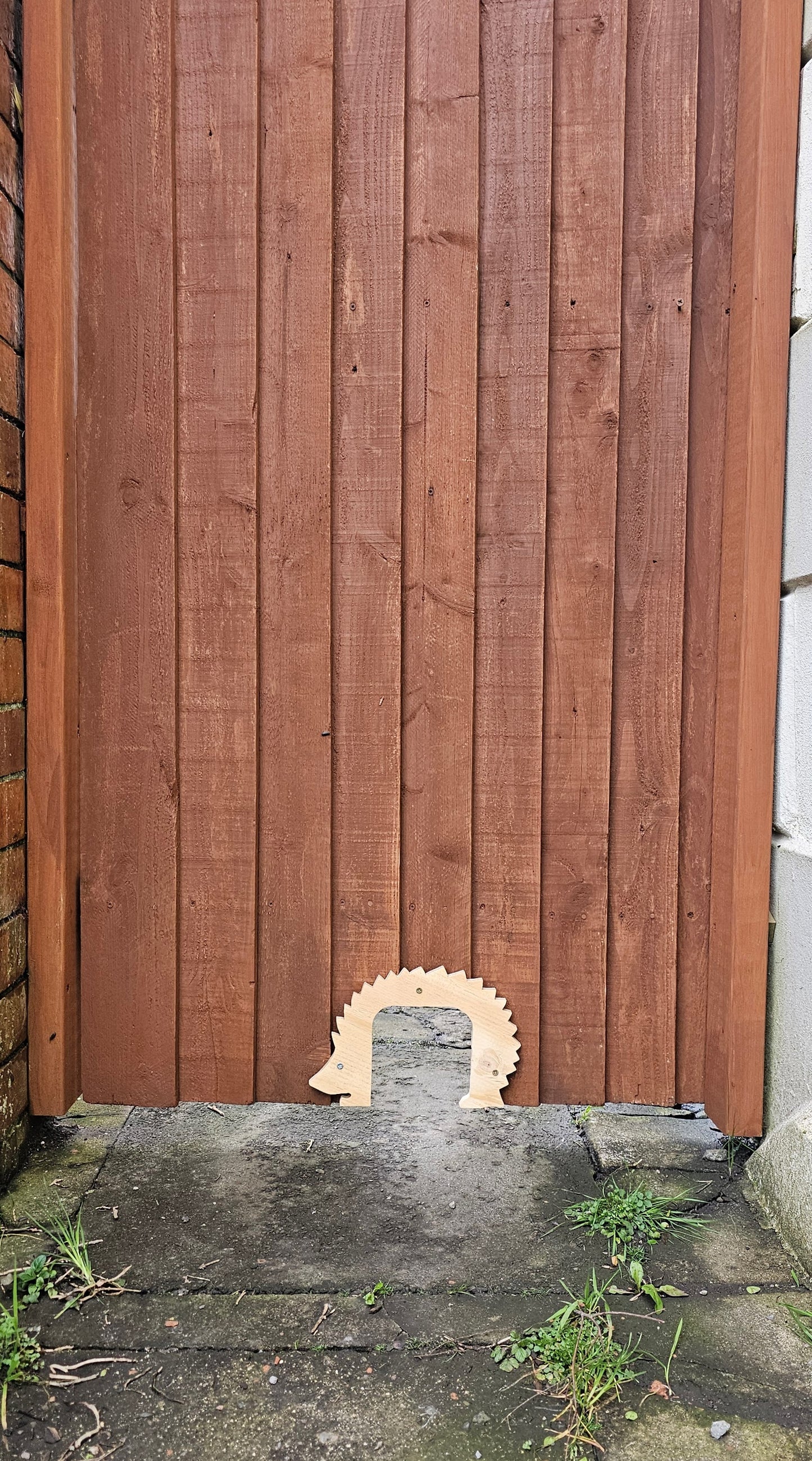 HEDGEHOG HIGHWAY