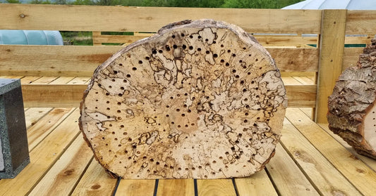 BEE LOG