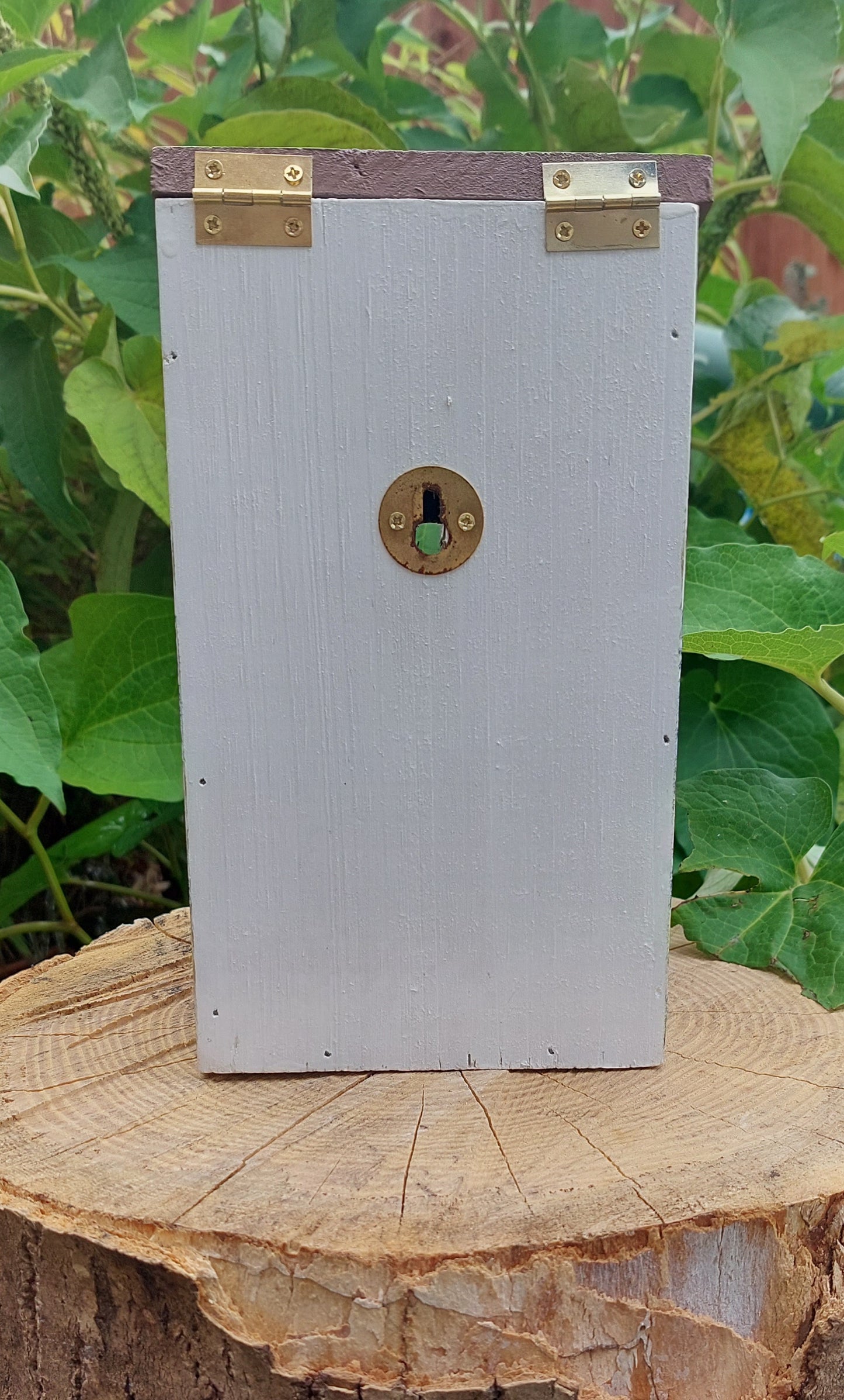 BIRD BOX Suitable for Blue & Great Tits