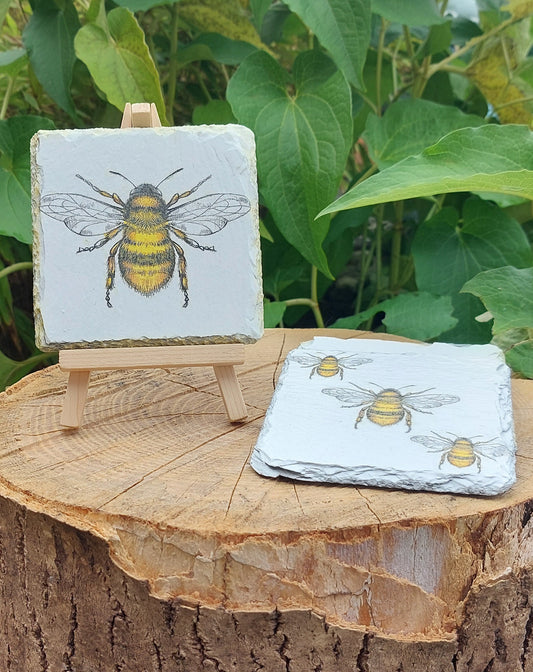 BEE COASTERS - SET OF 4 SLATE COASTERS