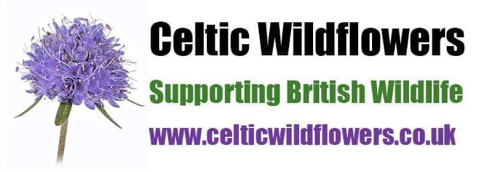 Celtic Wildflowers, Garden Nursery Near Me, Order Wildflowers Online