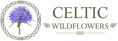 Celtic Wildflowers