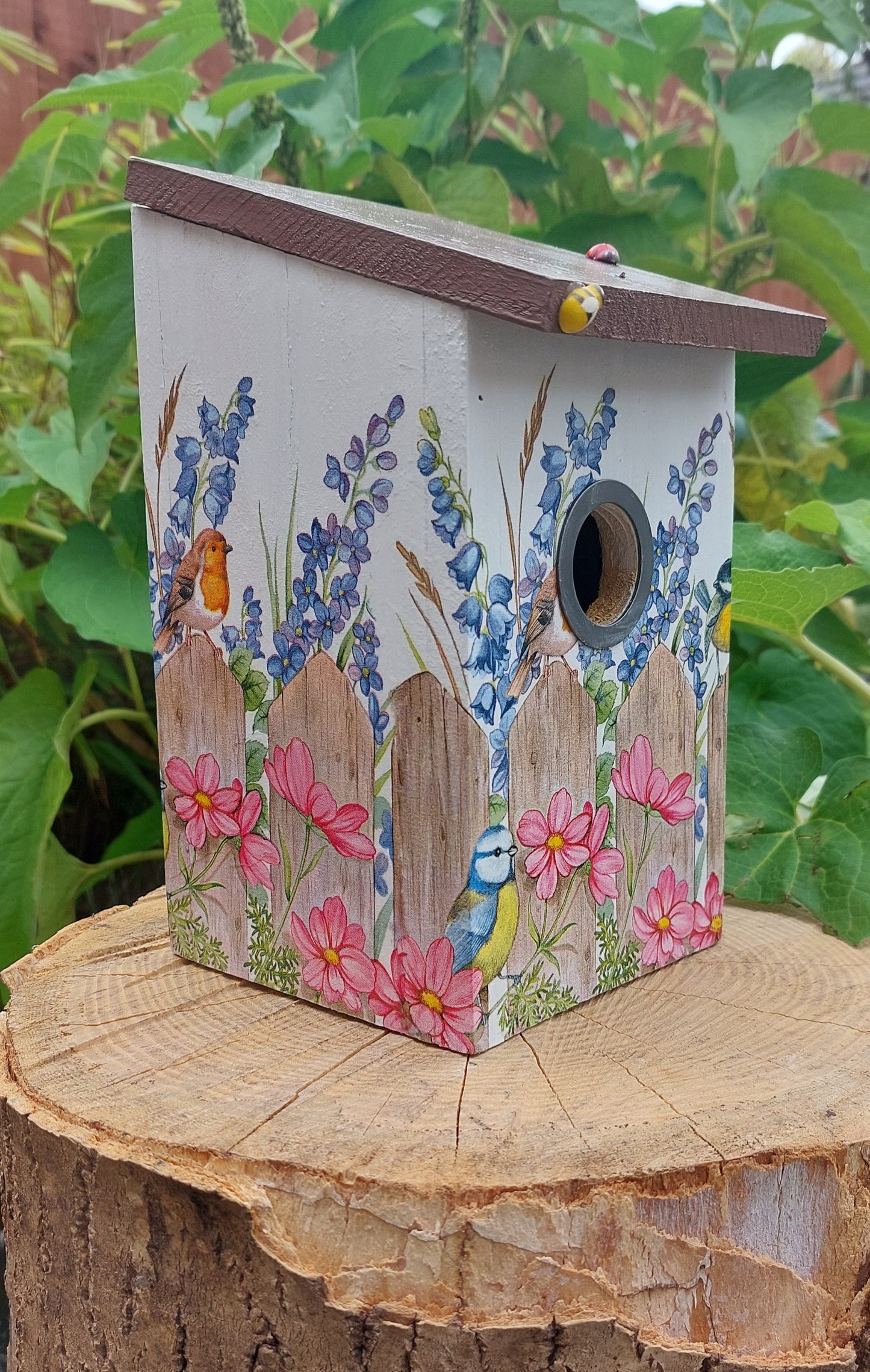 BIRD BOX  Suitable for Blue & Great Tits