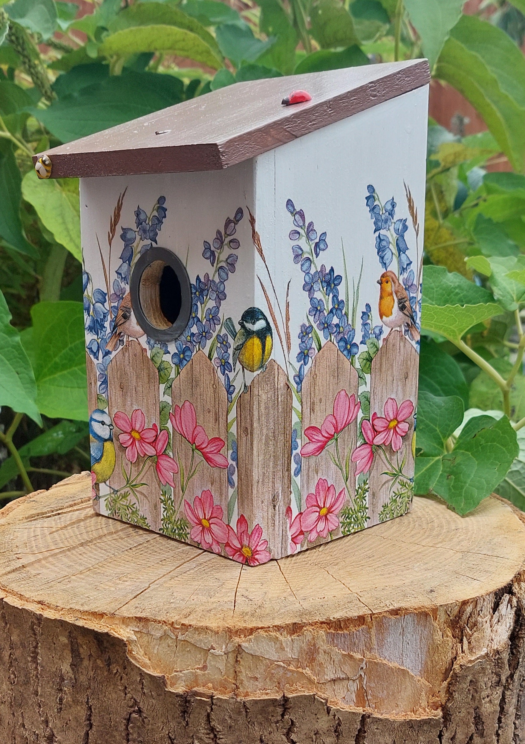 Ird Box BIRD BOX Suitable for Blue & Great Tits – Celtic Wildflowers